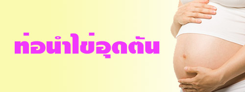 สาเหตุของคนมีลูกยาก